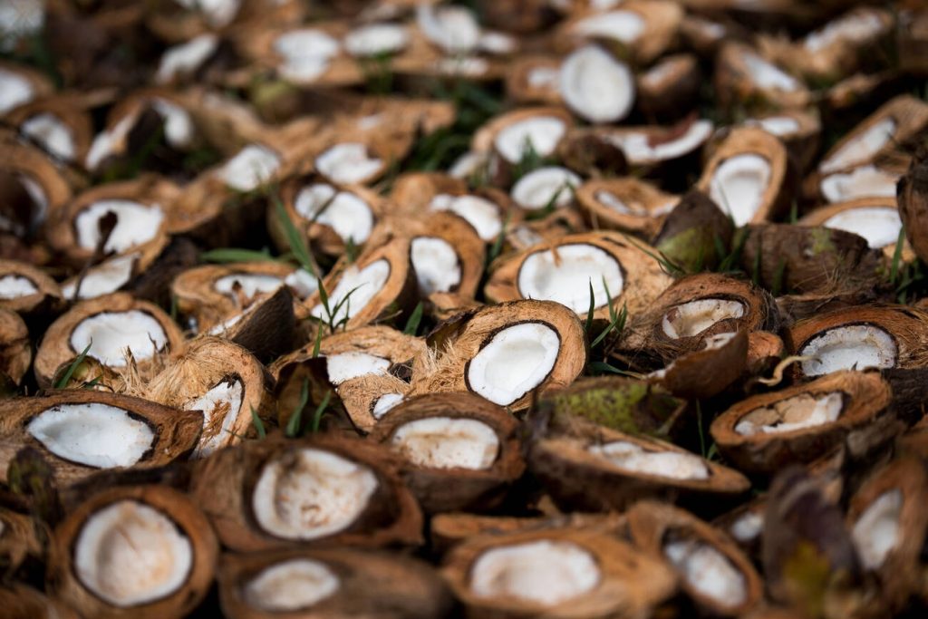 Which Foods Have Sustainable Palm Oil Your Guide to a Healthy and